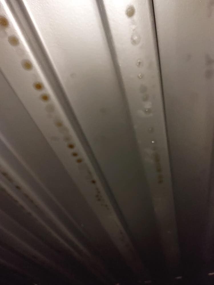 Corrosion across steel roof deck ribs seen from inside the building