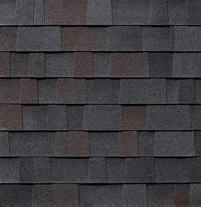 Black Oak shingle colour swatch
