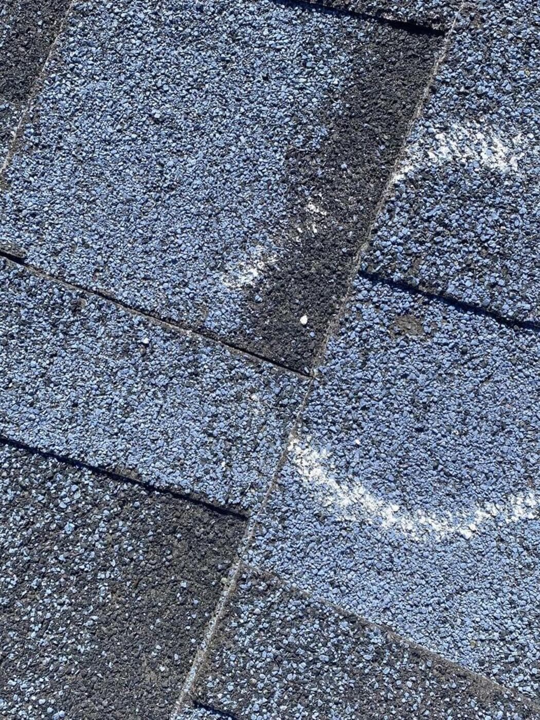 Chalk circle marking a hail impact bruise on an asphalt shingle