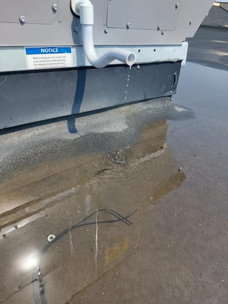 Ponding water on a commercial flat roof with condensate discharging onto the membrane